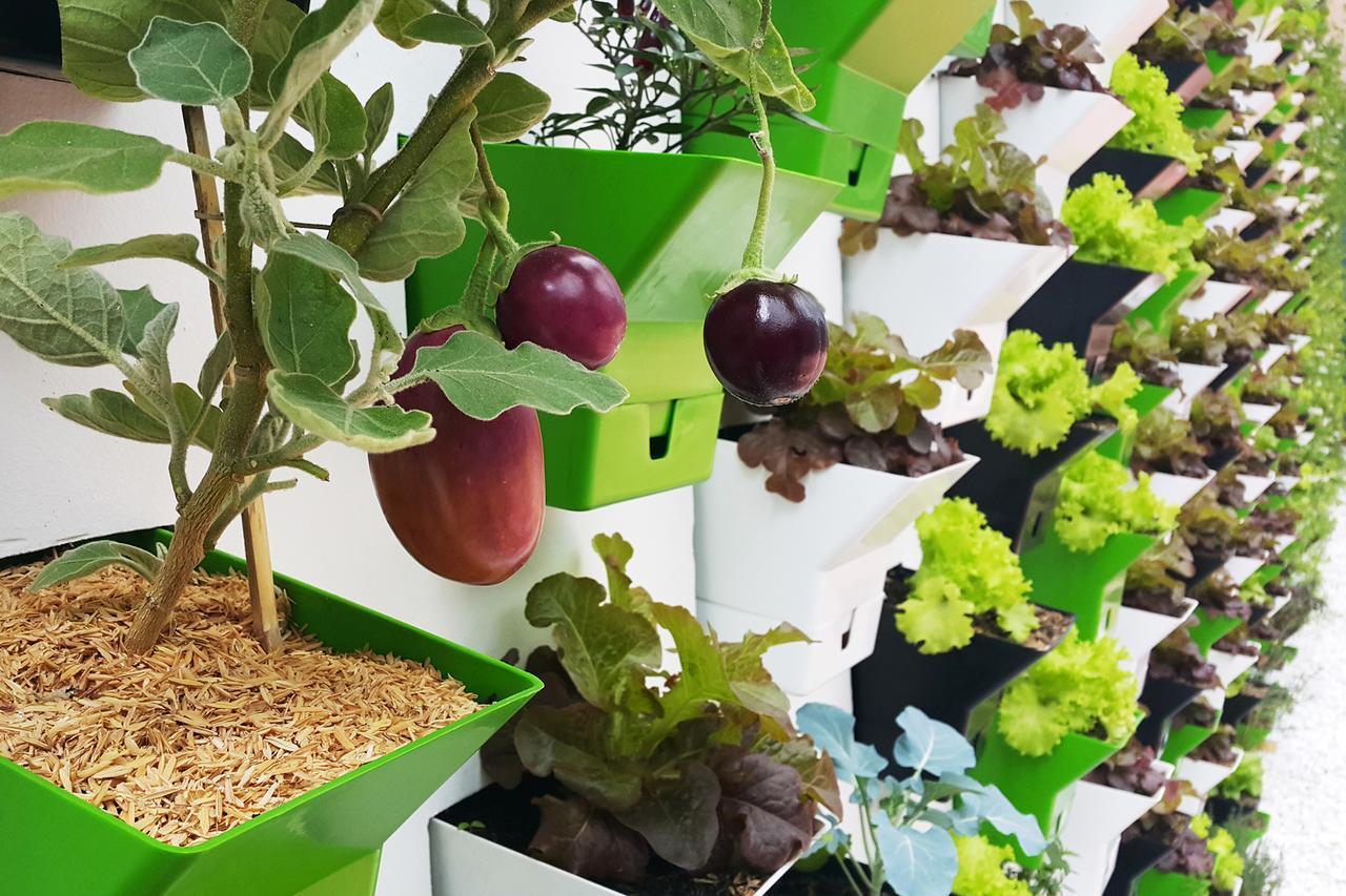 Biohotel Organic Suites Μπογκοτά Εξωτερικό φωτογραφία